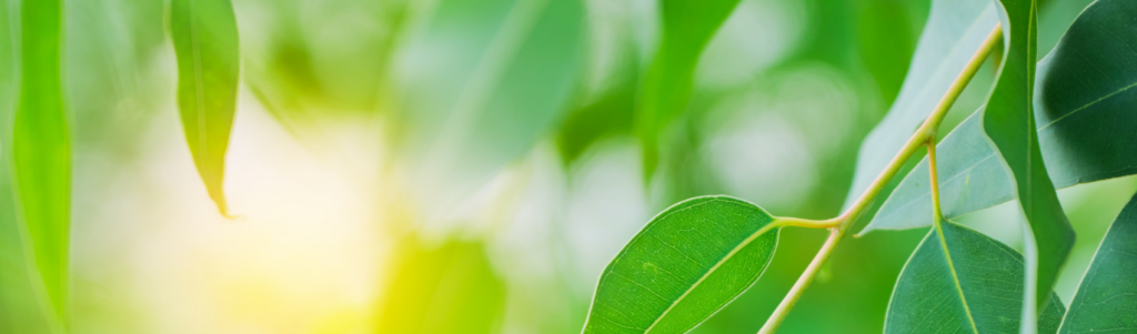 Shine the light that is you